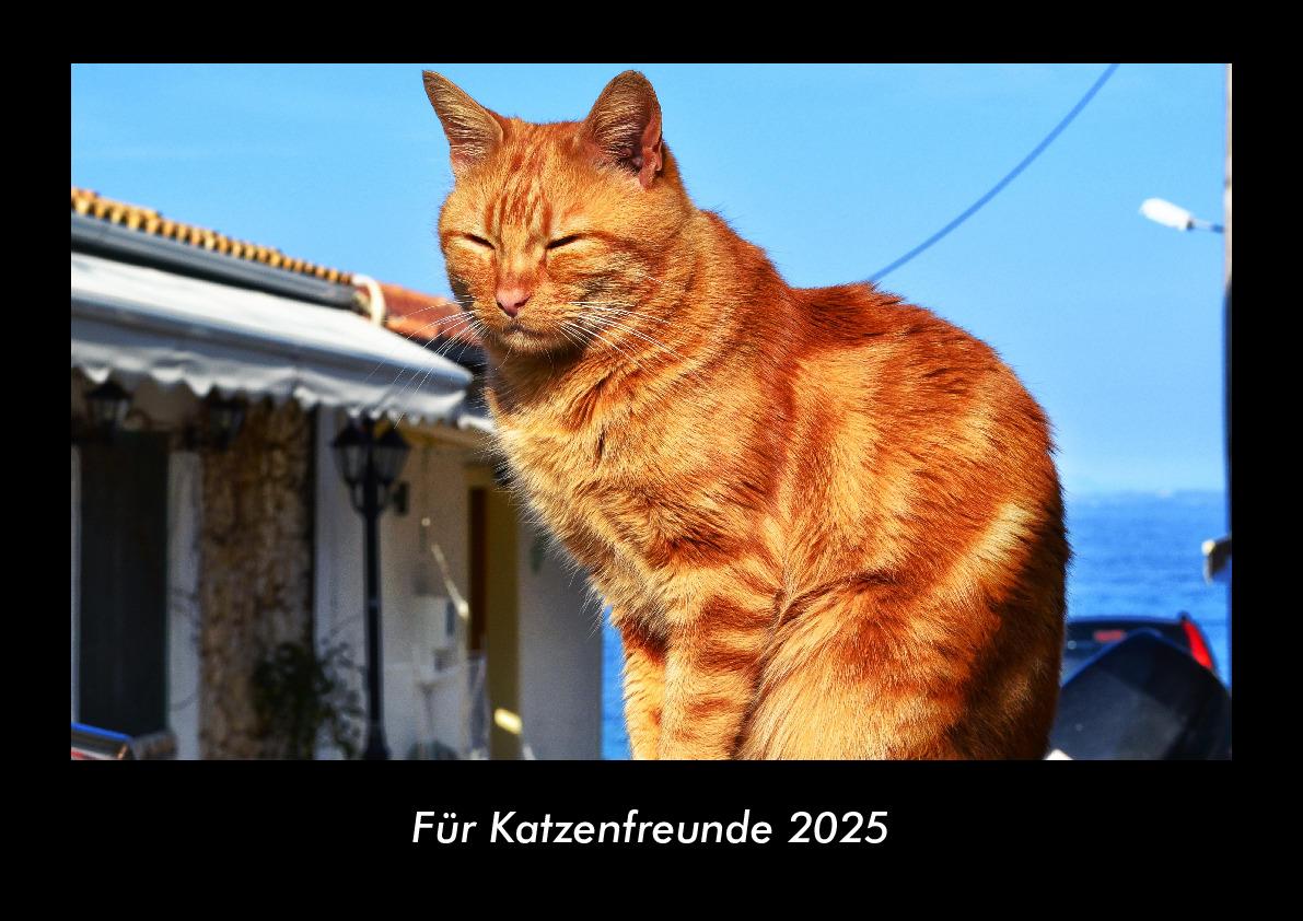 Für Katzenfreunde 2025 Fotokalender DIN A3