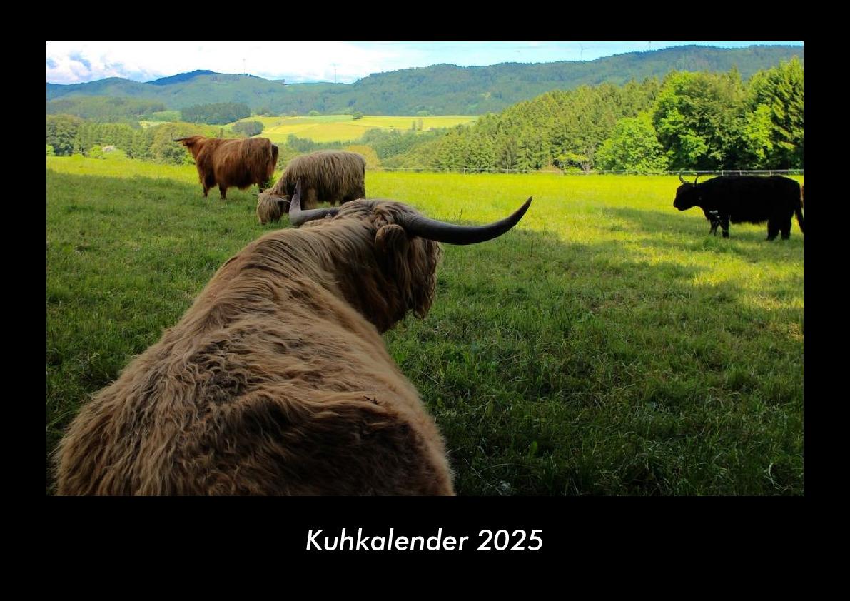 Kuhkalender 2025 Fotokalender DIN A3