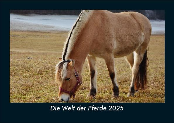 Die Welt der Pferde 2025 Fotokalender DIN A5