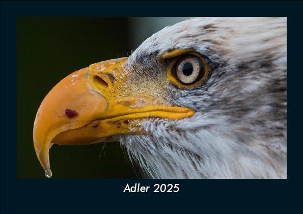 Adler 2025 Fotokalender DIN A5