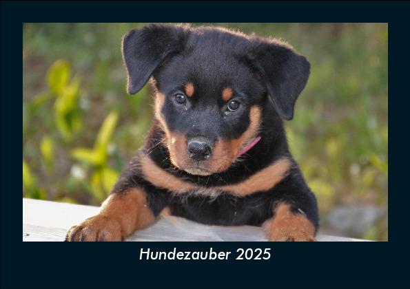 Hundezauber 2025 Fotokalender DIN A5