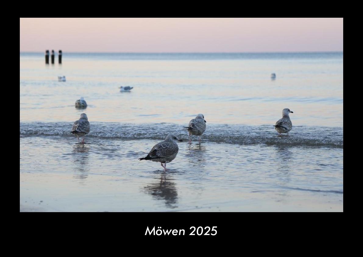 Möwen 2025 Fotokalender DIN A3