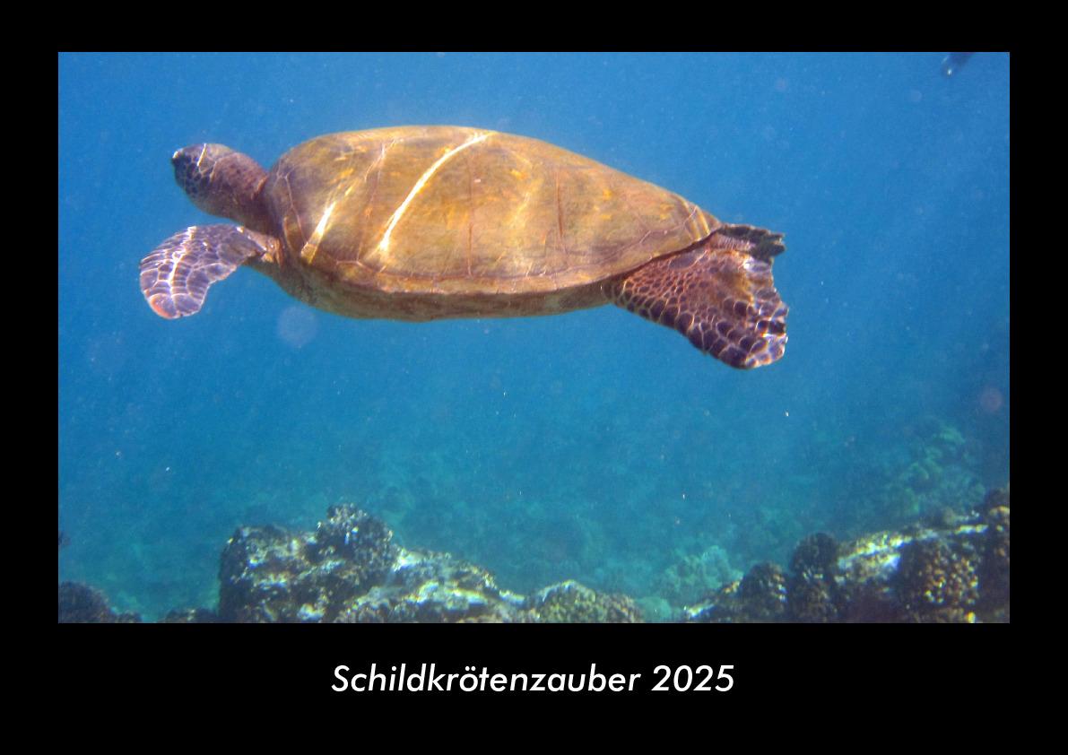 Schildkrötenzauber 2025 Fotokalender DIN A3