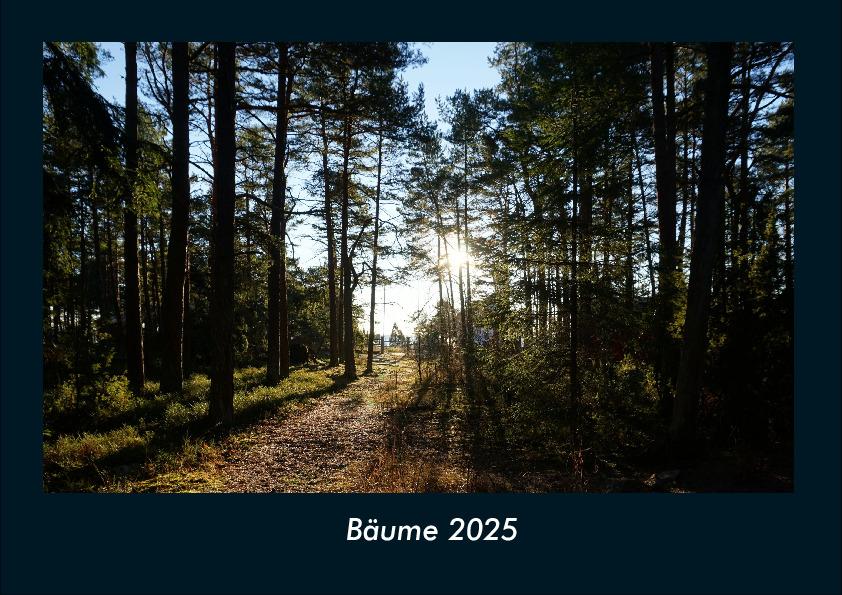 Bäume 2025 Fotokalender DIN A4