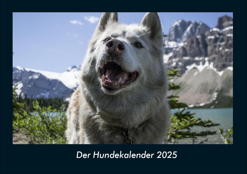 Der Hundekalender 2025 Fotokalender DIN A4