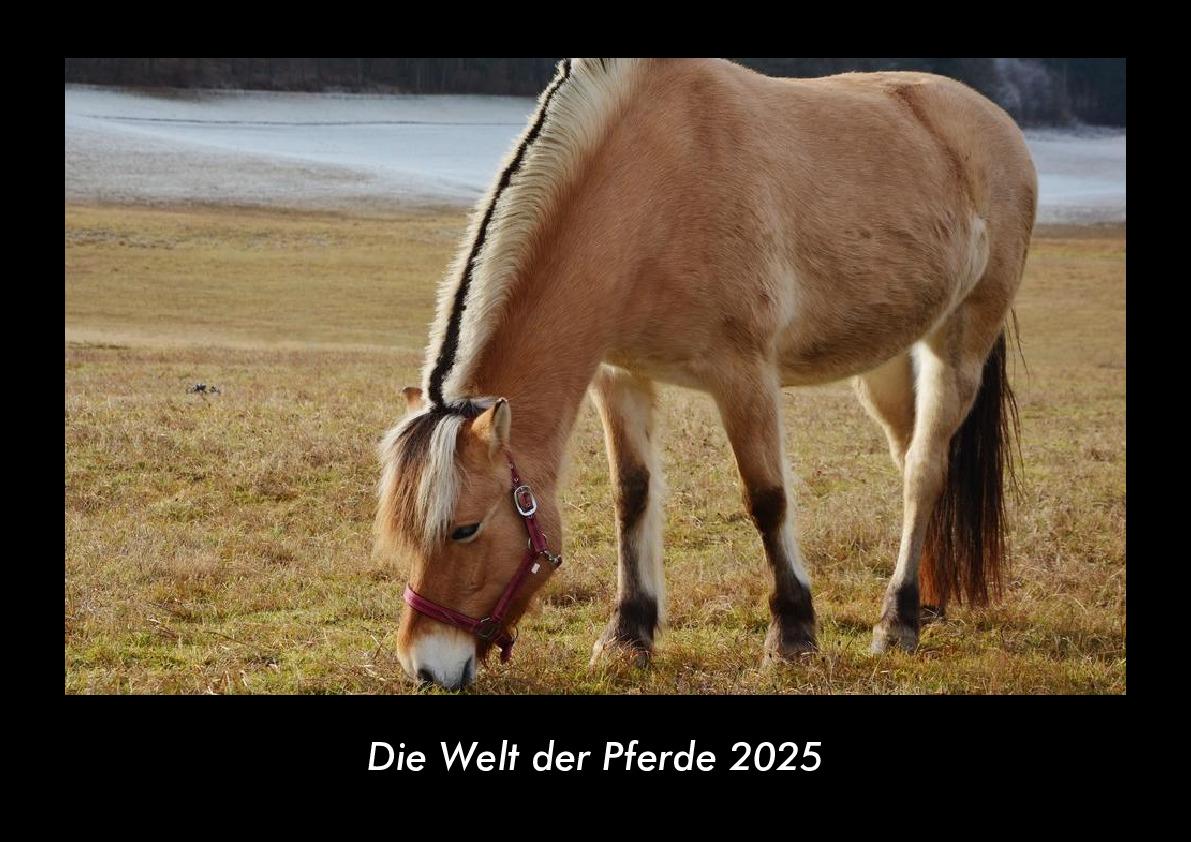 Die Welt der Pferde 2025 Fotokalender DIN A3