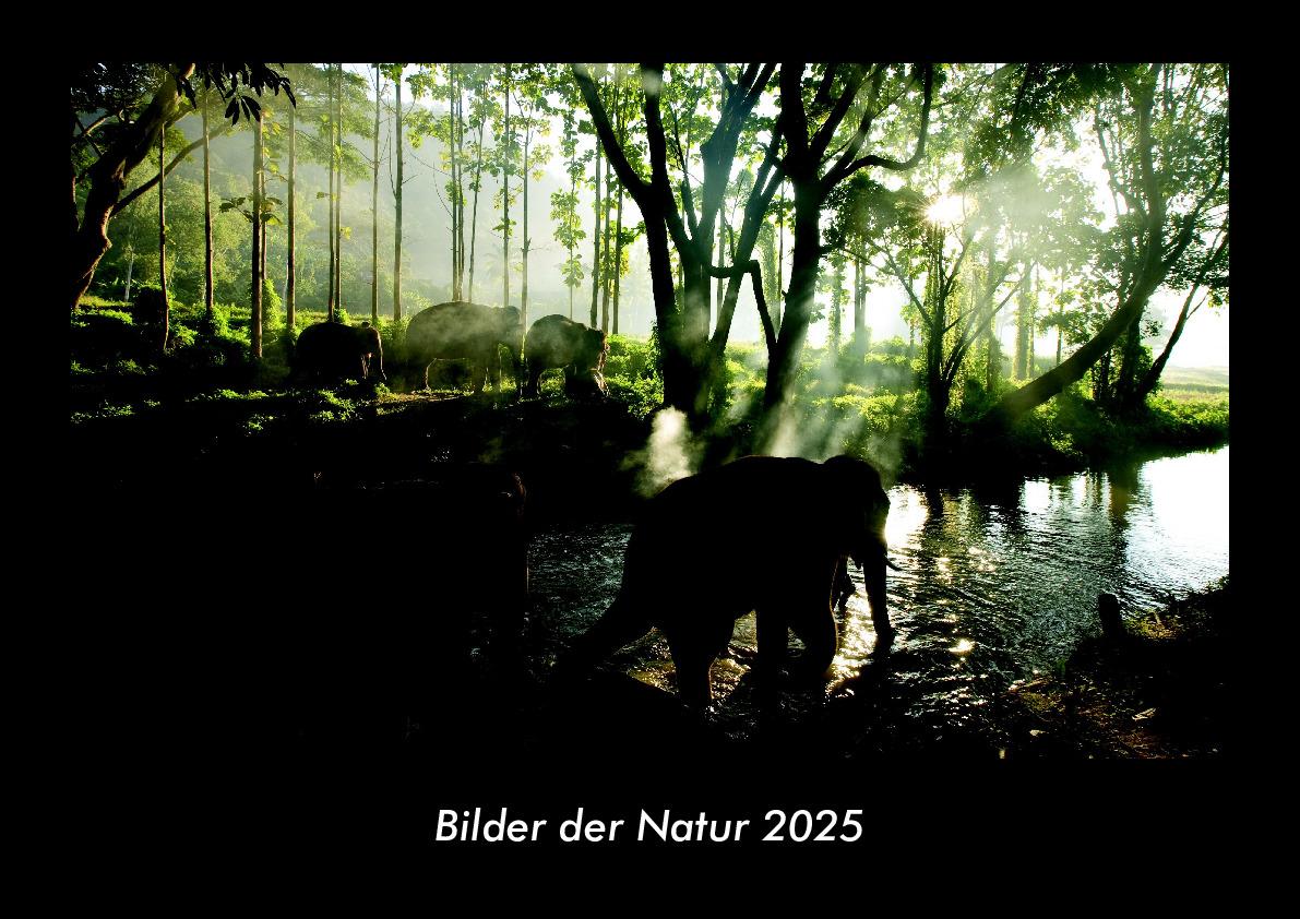 Bilder der Natur 2025 Fotokalender DIN A3