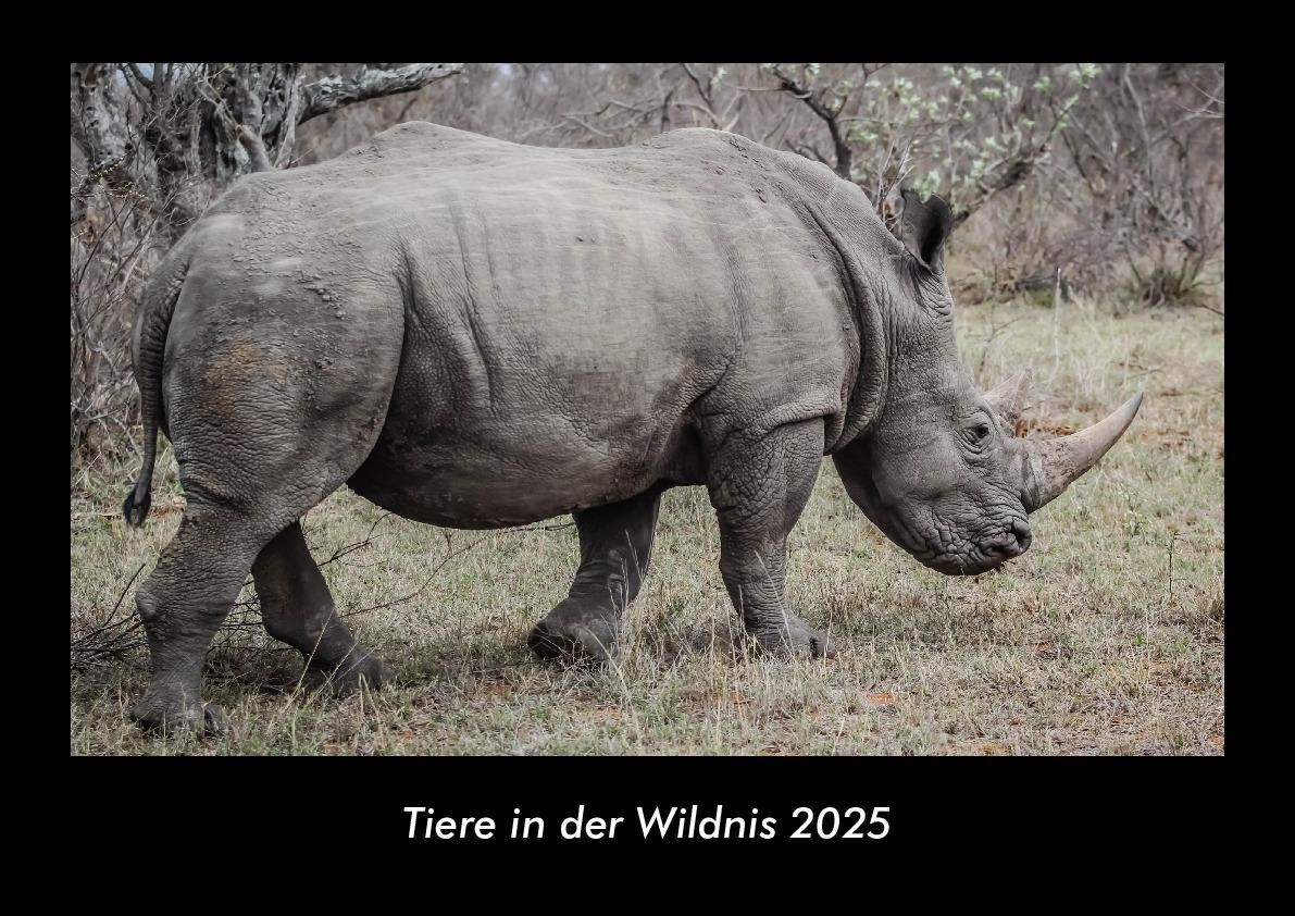 Tiere in der Wildnis 2025 Fotokalender DIN A3