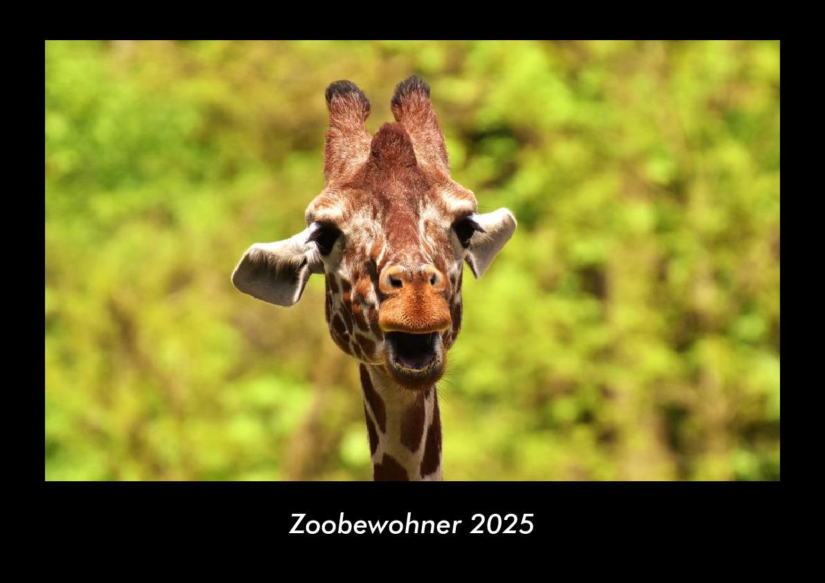 Zoobewohner 2025 Fotokalender DIN A3