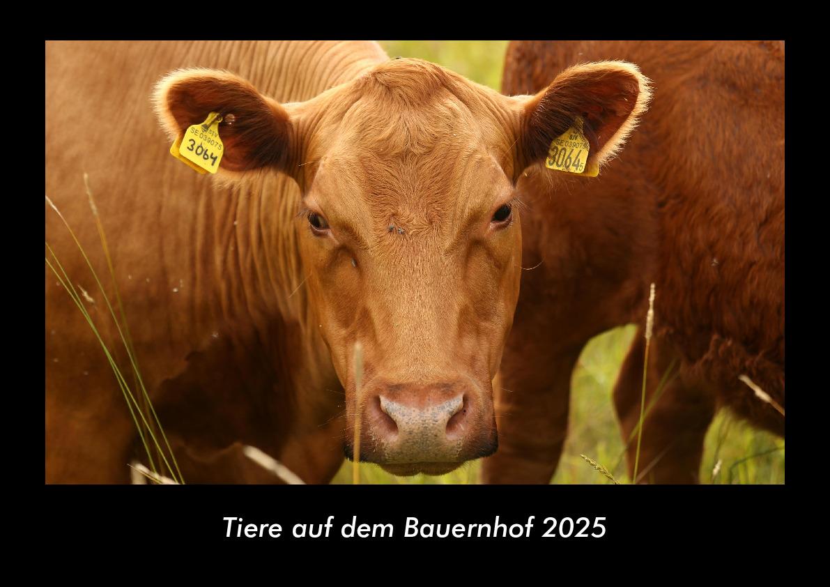 Tiere auf dem Bauernhof 2025 Fotokalender DIN A3