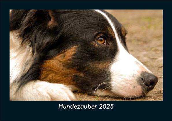 Hundezauber 2025 Fotokalender DIN A5