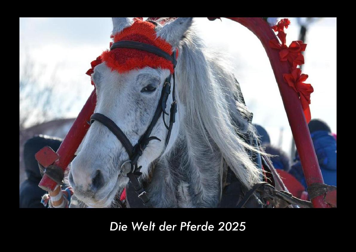 Die Welt der Pferde 2025 Fotokalender DIN A3