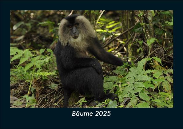 Bäume 2025 Fotokalender DIN A5