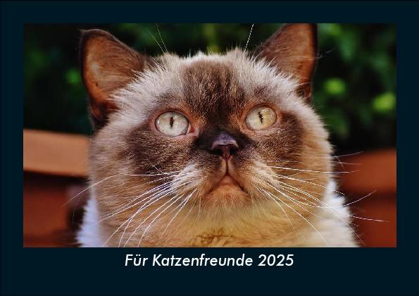 Für Katzenfreunde 2025 Fotokalender DIN A5