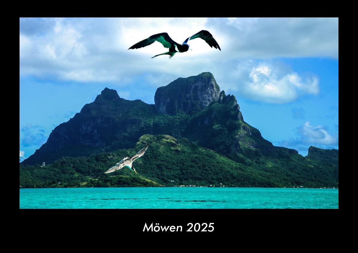 Möwen 2025 Fotokalender DIN A3