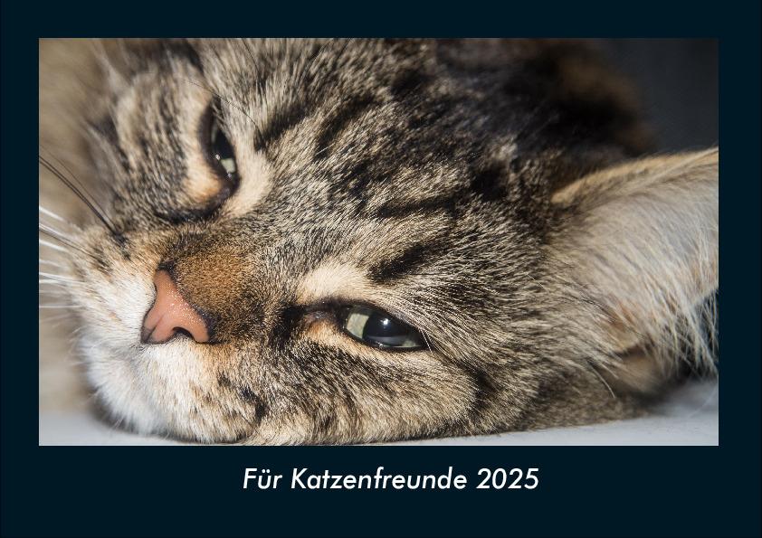 Für Katzenfreunde 2025 Fotokalender DIN A4