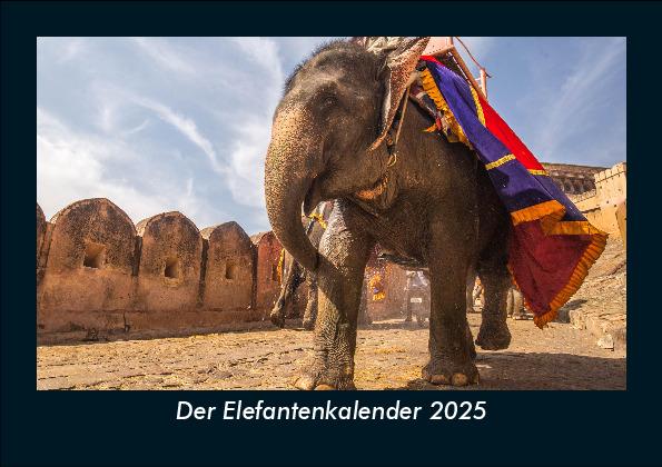 Der Elefantenkalender 2025 Fotokalender DIN A5