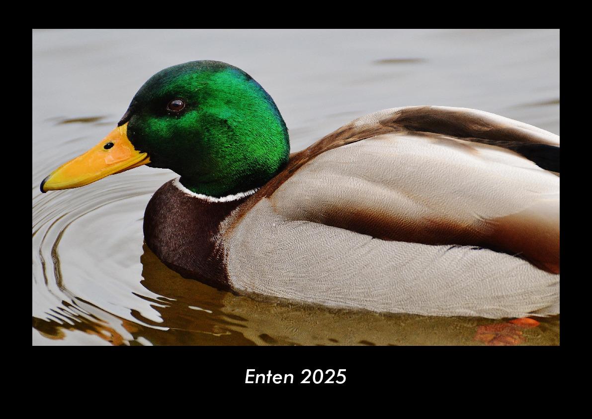 Enten 2025 Fotokalender DIN A3
