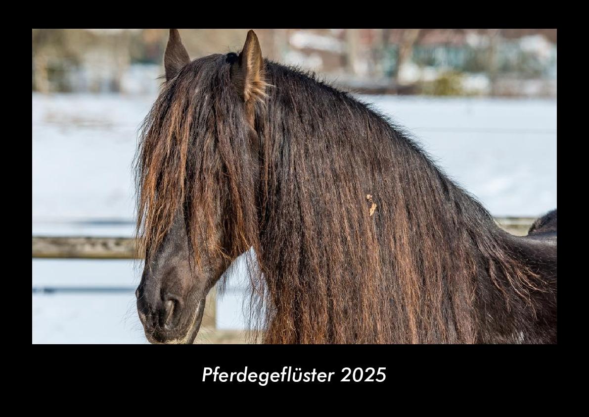 Pferdegeflüster 2025 Fotokalender DIN A3