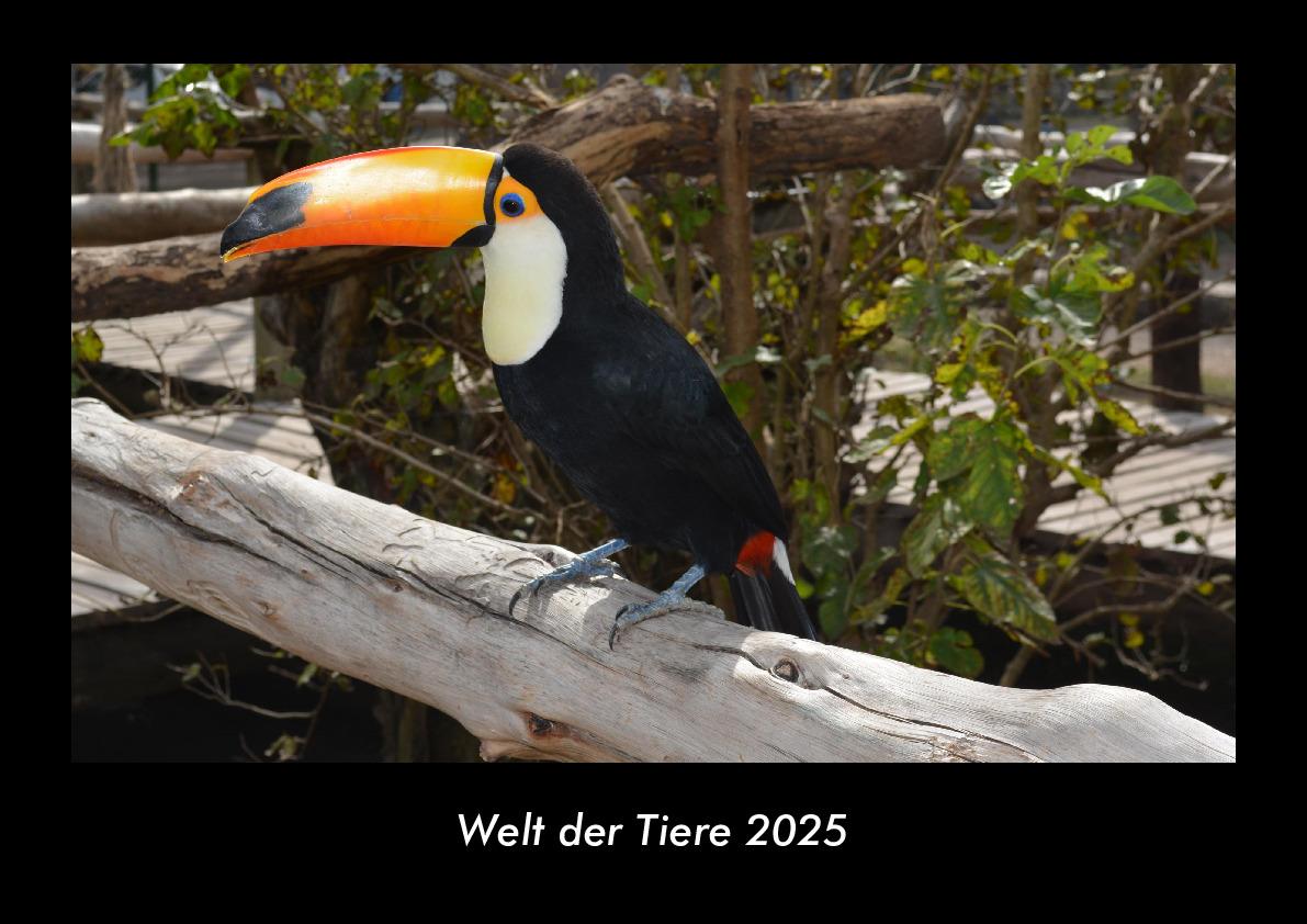 Welt der Tiere 2025 Fotokalender DIN A3