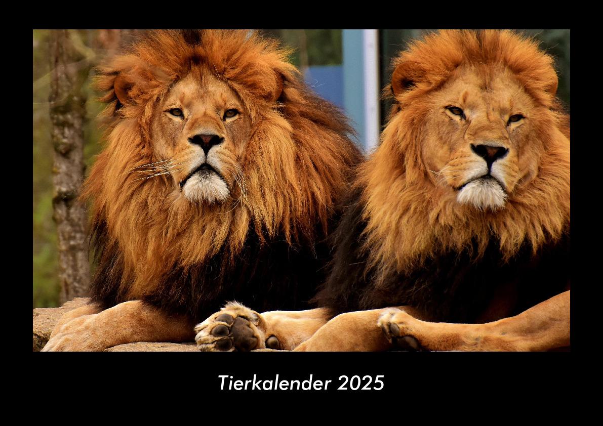 Tierkalender 2025 Fotokalender DIN A3
