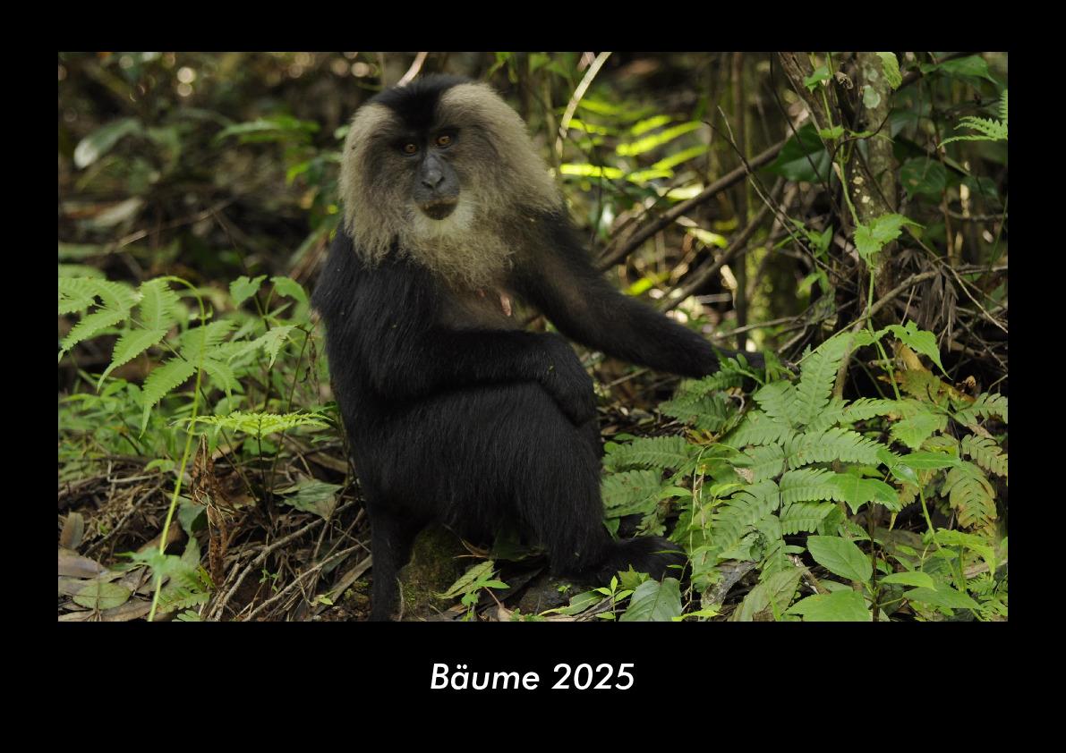 Bäume 2025 Fotokalender DIN A3