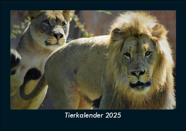Tierkalender 2025 Fotokalender DIN A5
