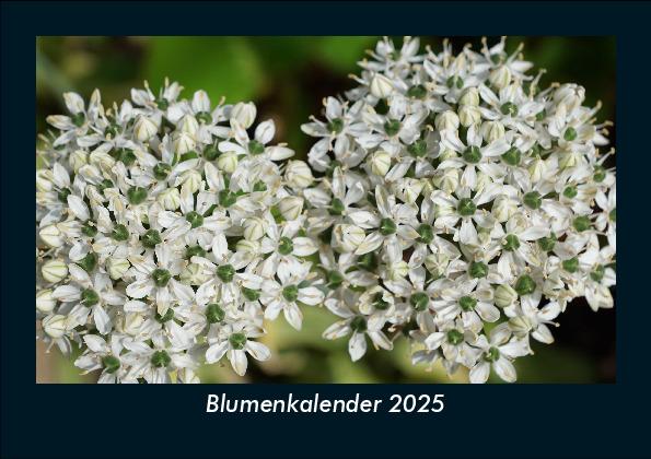 Blumenkalender 2025 Fotokalender DIN A5