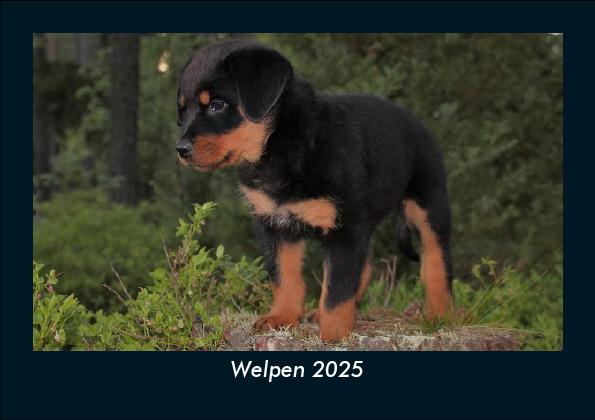 Welpen 2025 Fotokalender DIN A5