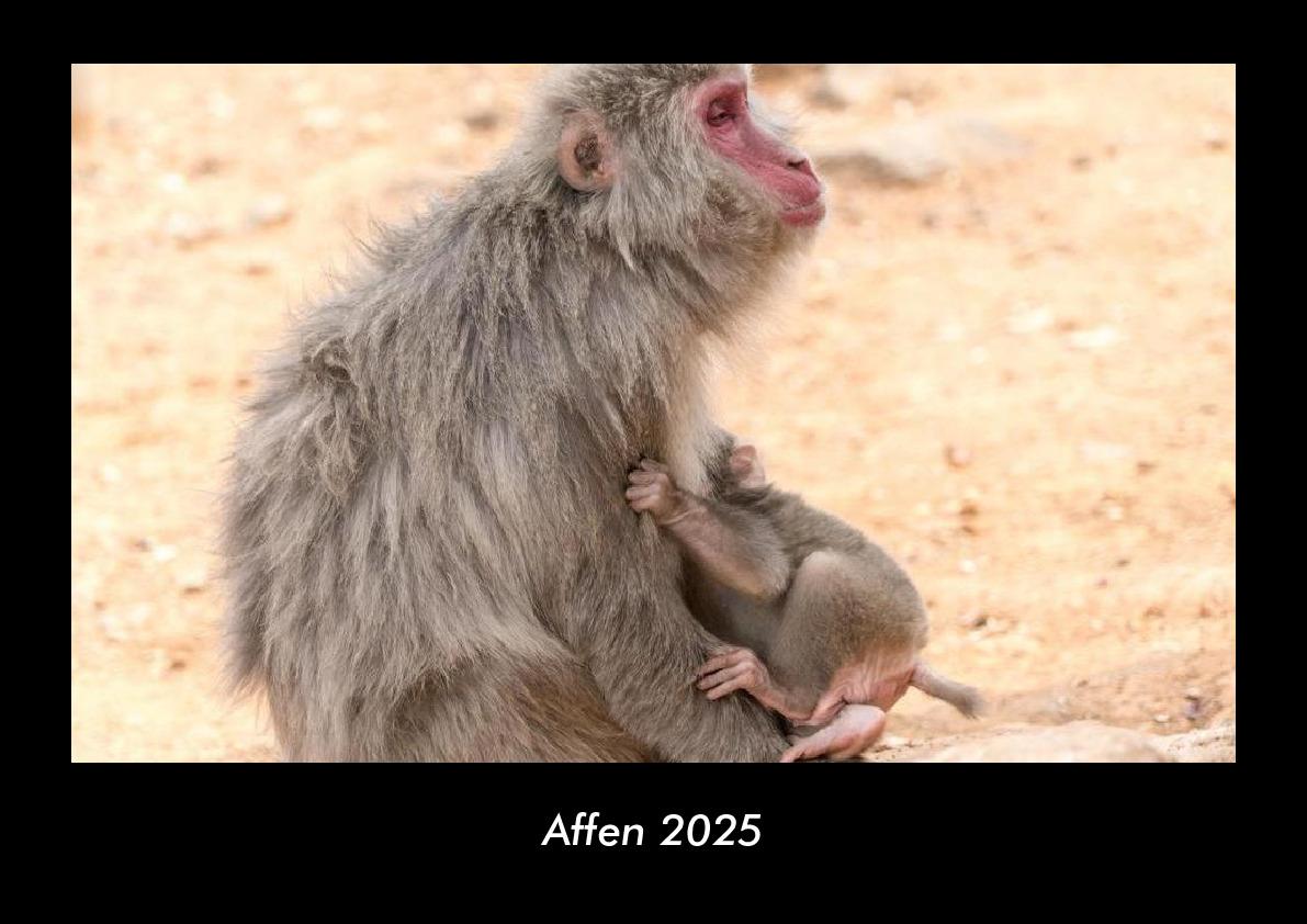 Affen 2025 Fotokalender DIN A3