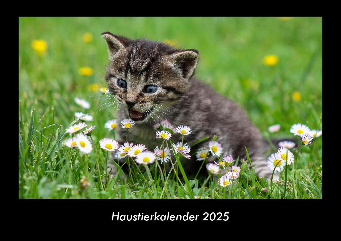 Haustierkalender 2025 Fotokalender DIN A3