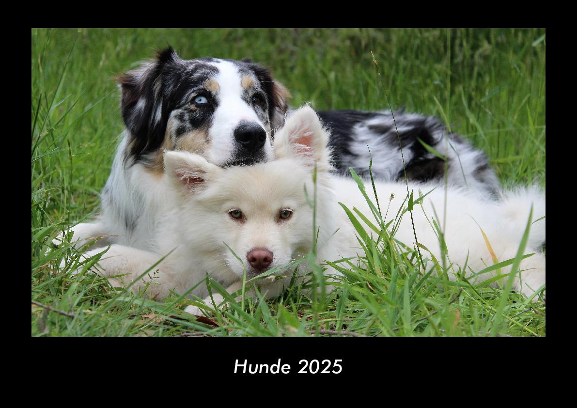 Hunde 2025 Fotokalender DIN A3