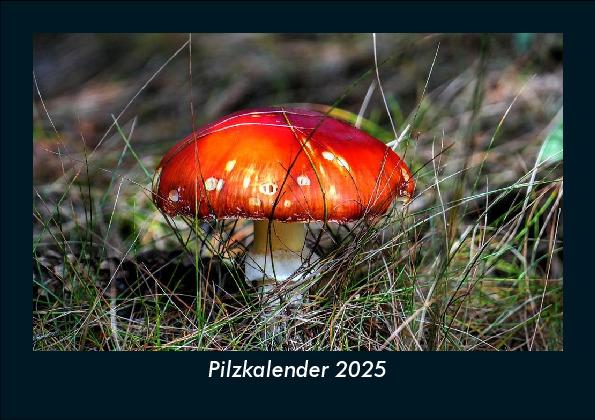 Pilzkalender 2025 Fotokalender DIN A5