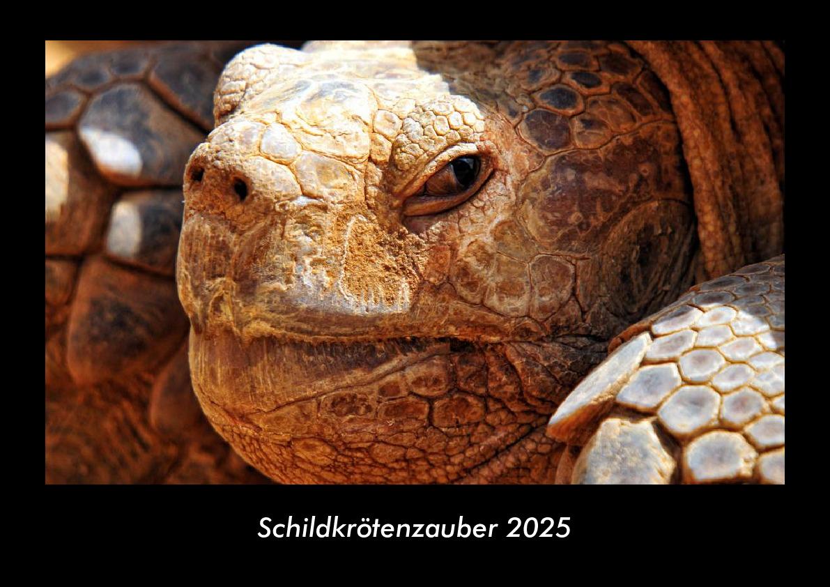 Schildkrötenzauber 2025 Fotokalender DIN A3