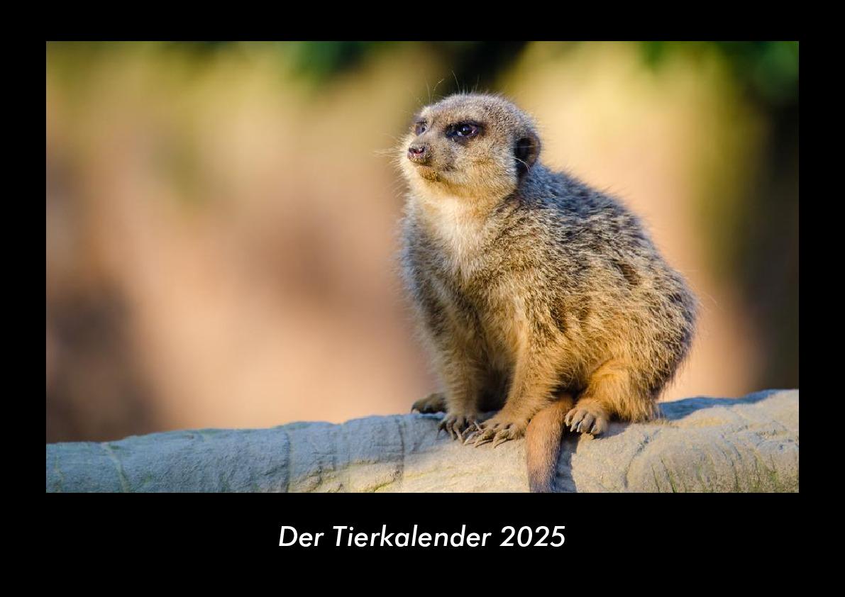 Der Tierkalender 2025 Fotokalender DIN A3