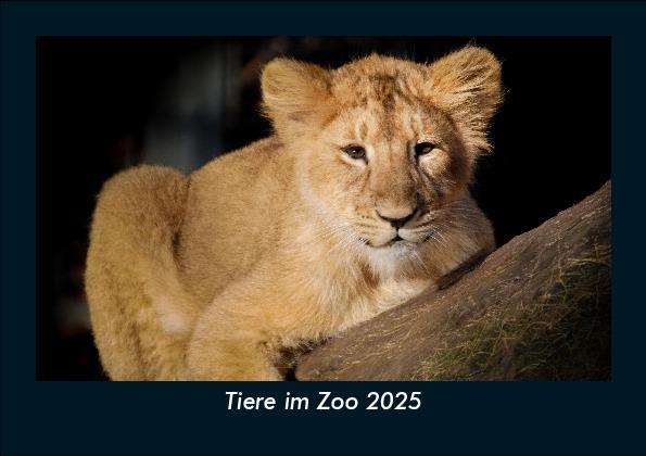Tiere im Zoo 2025 Fotokalender DIN A5