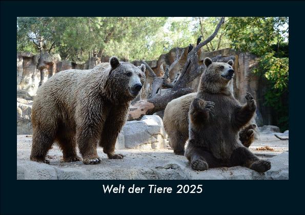 Welt der Tiere 2025 Fotokalender DIN A5