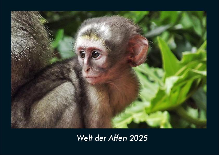 Welt der Affen 2025 Fotokalender DIN A4