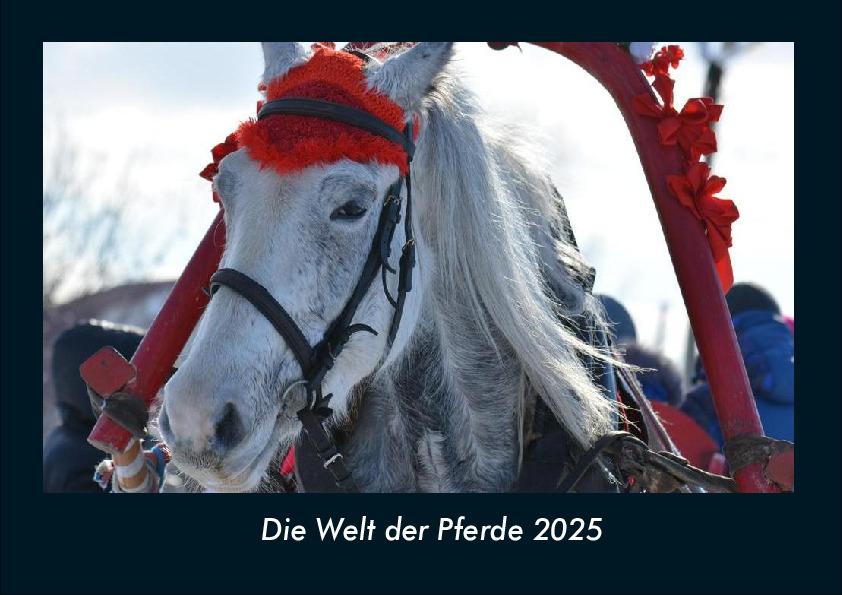 Die Welt der Pferde 2025 Fotokalender DIN A4