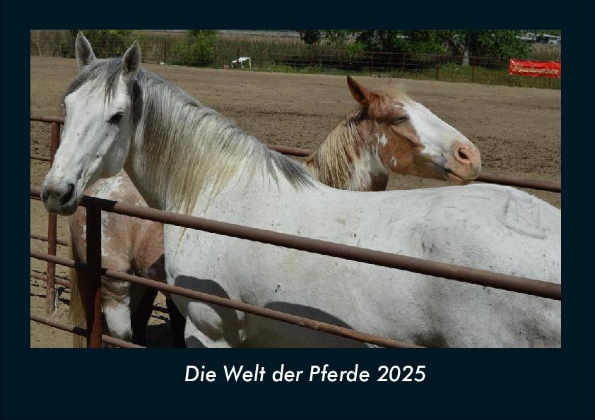 Die Welt der Pferde 2025 Fotokalender DIN A4