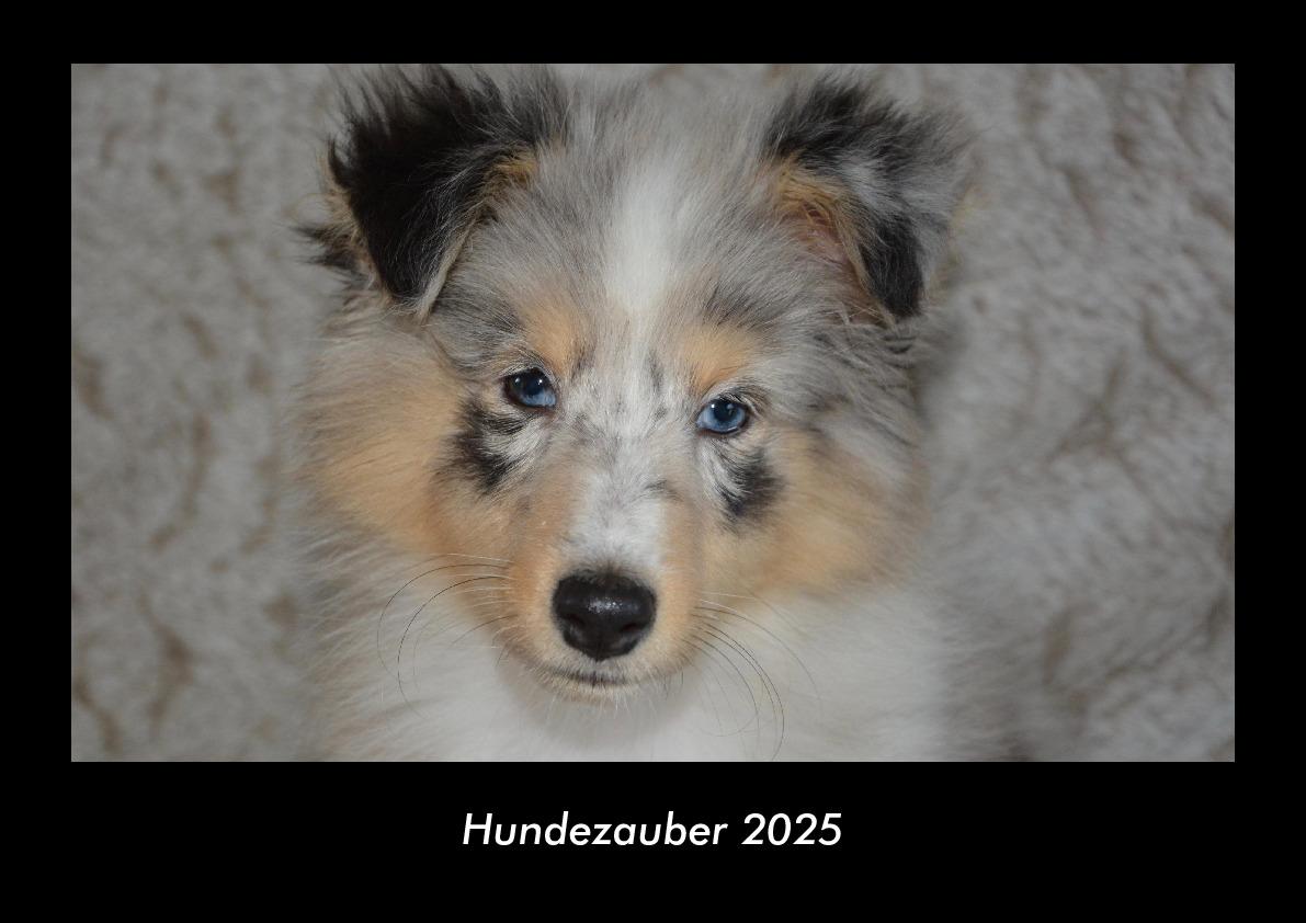 Hundezauber 2025 Fotokalender DIN A3
