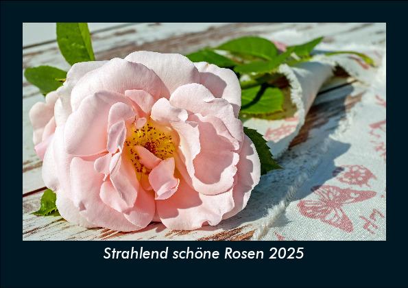 Strahlend schöne Rosen 2025 Fotokalender DIN A5
