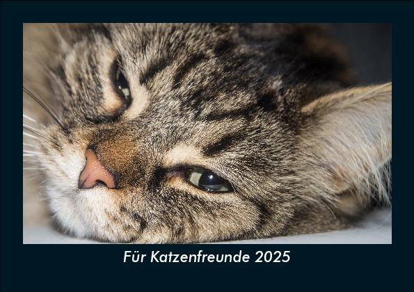 Für Katzenfreunde 2025 Fotokalender DIN A5