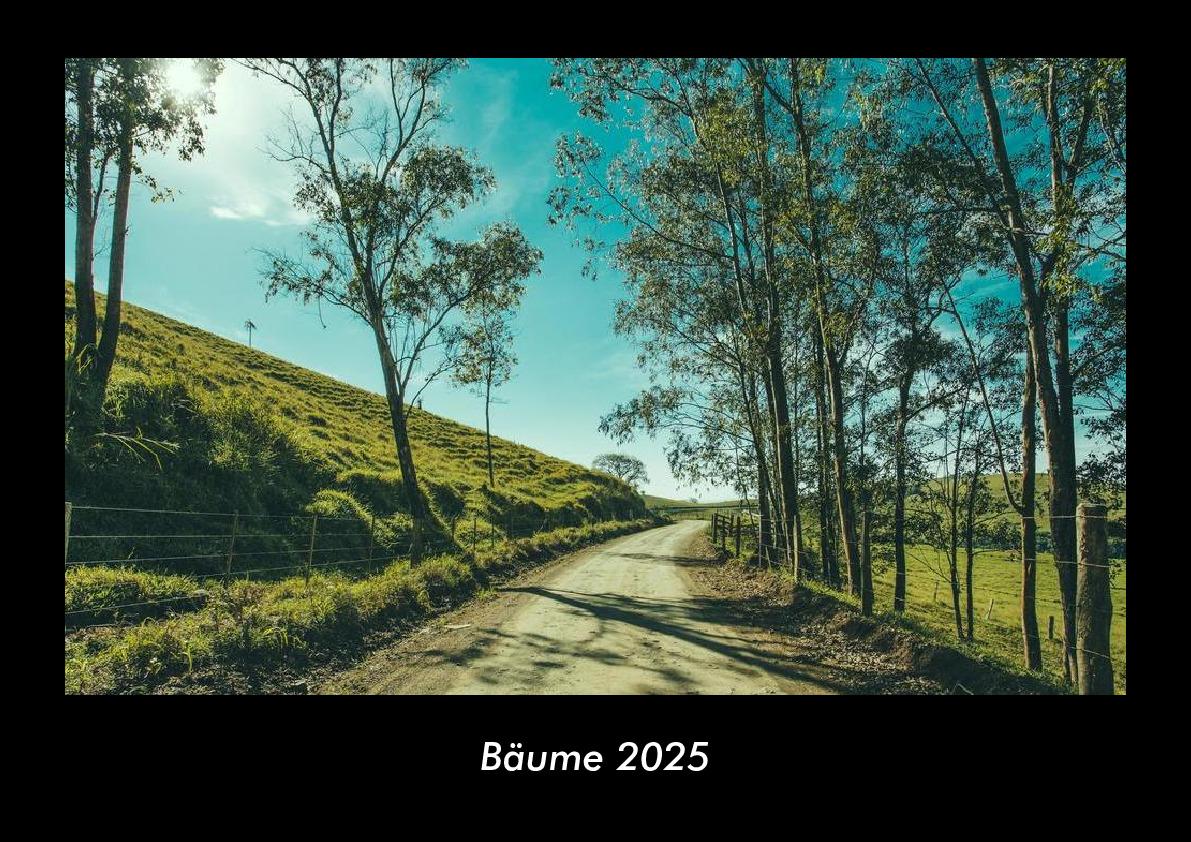 Bäume 2025 Fotokalender DIN A3