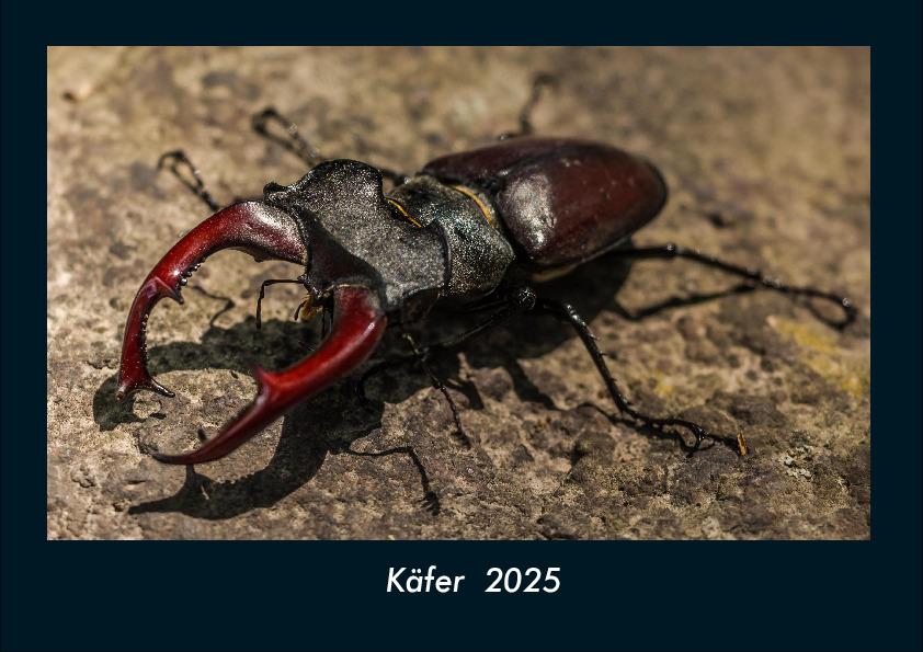 Käfer 2025 Fotokalender DIN A4
