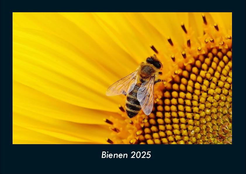 Bienen 2025 Fotokalender DIN A4