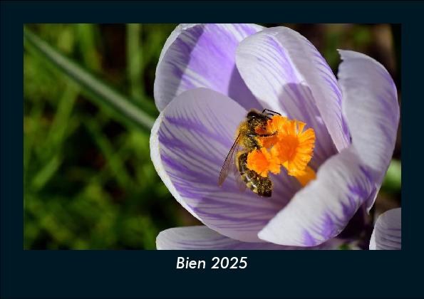 Bien 2025 Fotokalender DIN A5