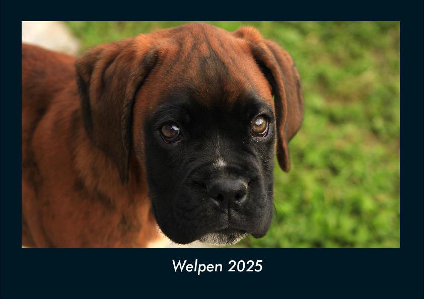 Welpen 2025 Fotokalender DIN A4
