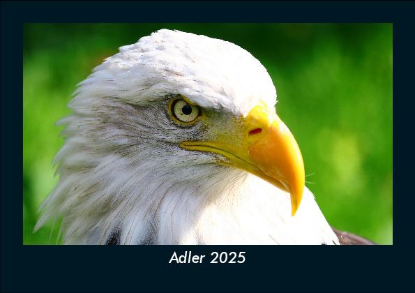 Adler 2025 Fotokalender DIN A5