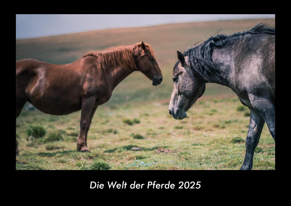 Die Welt der Pferde 2025 Fotokalender DIN A3